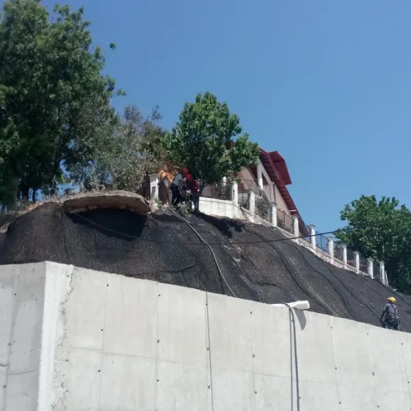 Προατασία Πρανών